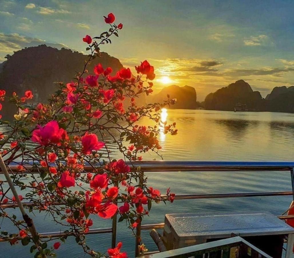 Nhat Anh Hotel Cat Ba Dong Khe Sau Buitenkant foto